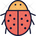 پیش‌نمایش فایل ladybird-3157453 از پک حیوان و پرنده
