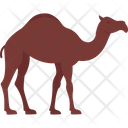 پیش‌نمایش فایل gulf-camel-3176630 از پک فرهنگ خلیج
