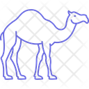 پیش‌نمایش فایل gulf-camel-3177508 از پک فرهنگ خلیج
