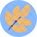 پیش‌نمایش فایل dates-3176668 از پک فرهنگ خلیج
