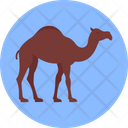 پیش‌نمایش فایل gulf-camel-3176684 از پک فرهنگ خلیج