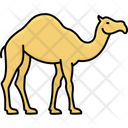 پیش‌نمایش فایل gulf-camel-3175714 از پک فرهنگ خلیج
