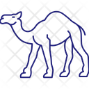 پیش‌نمایش فایل camel-3226060 از پک پستاندار
