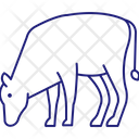 پیش‌نمایش فایل cow-3226031 از پک پستاندار