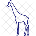 پیش‌نمایش فایل giraffe-3226050 از پک پستاندار