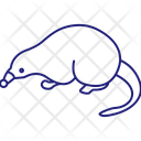 پیش‌نمایش فایل rat-3226063 از پک پستاندار