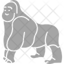 پیش‌نمایش فایل chimp-3220285 از پک پستاندار
