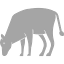 پیش‌نمایش فایل cow-3220312 از پک پستاندار
