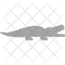 پیش‌نمایش فایل crocodile-3220262 از پک پستاندار
