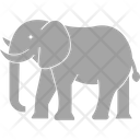 پیش‌نمایش فایل elephant-3220299 از پک پستاندار