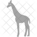 پیش‌نمایش فایل giraffe-3220293 از پک پستاندار