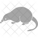 پیش‌نمایش فایل rat-3220280 از پک پستاندار