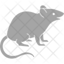 پیش‌نمایش فایل rat-3220302 از پک پستاندار
