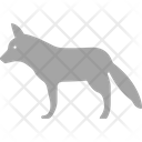 پیش‌نمایش فایل sciuridae-3220278 از پک پستاندار