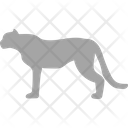 پیش‌نمایش فایل tiger-3220298 از پک پستاندار