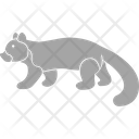 پیش‌نمایش فایل wildcat-3220266 از پک پستاندار
