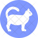 پیش‌نمایش فایل cat-3220584 از پک پستاندار