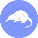 پیش‌نمایش فایل rat-3220604 از پک پستاندار