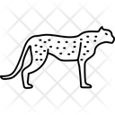 پیش‌نمایش فایل tiger-3220835 از پک پستاندار