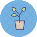 پیش‌نمایش فایل leaves-plant-3347115 از پک ساخت املاک