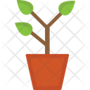 پیش‌نمایش فایل leaves-plant-3348290 از پک ساخت املاک