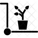 پیش‌نمایش فایل leaves-pot-3349502 از پک ساخت املاک