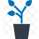 پیش‌نمایش فایل leaves-plant-3351208 از پک ساخت املاک