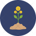 پیش‌نمایش فایل money-plant-3501991 از پک استارتاپ و کسب و کار نوپا