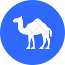 پیش‌نمایش فایل camel-3578704 از پک ماه رمضان مبارک