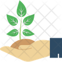پیش‌نمایش فایل care-plant-3619601 از پک مدیریت داده و سرور