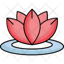 پیش‌نمایش فایل aquatic-flower-3757288 از پک ماساژ