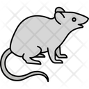 پیش‌نمایش فایل rat-3940547 از پک حیوانات