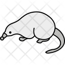 پیش‌نمایش فایل rat-3940569 از پک حیوانات