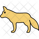 پیش‌نمایش فایل sciuridae-3940571 از پک حیوانات