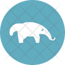 پیش‌نمایش فایل anteater-3941113 از پک حیوانات