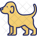 پیش‌نمایش فایل airedale-dog-2807527 از پک رابط کاربری