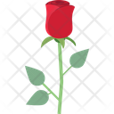 پیش‌نمایش فایل blossom-2485569 از پک جشن و جشنواره