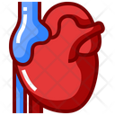 پیش‌نمایش فایل heart-8291633 از پک اندام های انسان