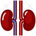 پیش‌نمایش فایل kidneys-8291634 از پک اندام های انسان