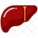 پیش‌نمایش فایل liver-8291637 از پک اندام های انسان