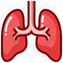پیش‌نمایش فایل lung-8291640 از پک اندام های انسان