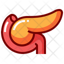 پیش‌نمایش فایل pancreas-8291636 از پک اندام های انسان