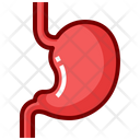 پیش‌نمایش فایل stomach-8291639 از پک اندام های انسان