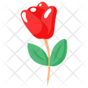 پیش‌نمایش فایل rose-flower-8511042 از پک عشق