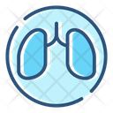 پیش‌نمایش فایل kidney-72 از پک رنگ مراقبت سلامت