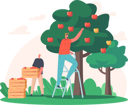 پیش‌نمایش فایل man-farming-apple-and-collecting-fresh-apples-4724566 از پک صنعت و تولید