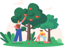 پیش‌نمایش فایل woman-collecting-apples-4724564 از پک صنعت و تولید