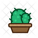 پیش‌نمایش فایل cactus-plant-5457285 از پک کاکتوس