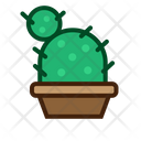 پیش‌نمایش فایل cactus-plant-5457289 از پک کاکتوس