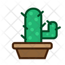 پیش‌نمایش فایل cactus-plant-5457292 از پک کاکتوس